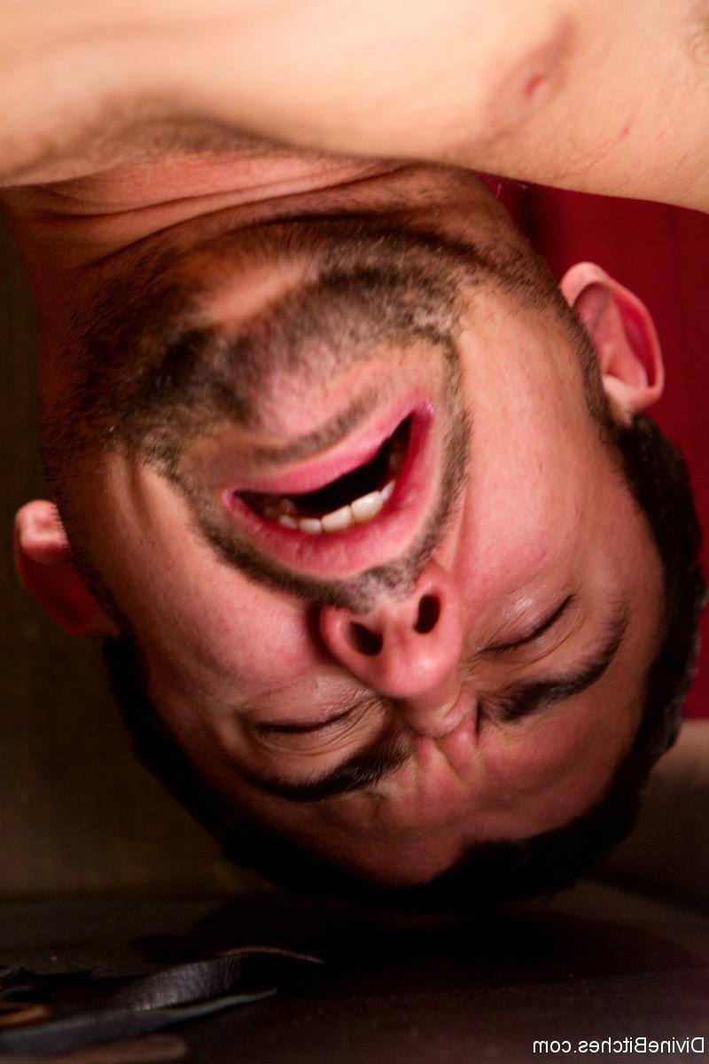 24P What can we do with him with 5 days of training and 5 different Bitches? Aiden s