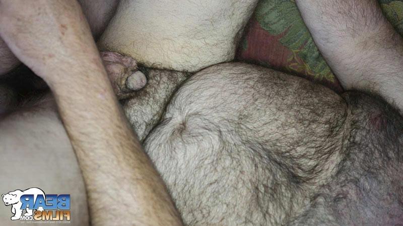 15P Mature Bears Having Sex