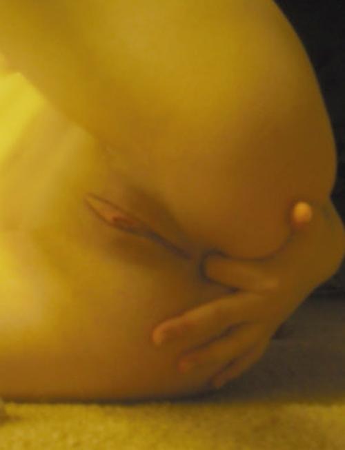 16P Sizzling pictures of cock and finger-fucked buttholes
