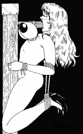 15P giant female breasts tied and bound in evil bondage art