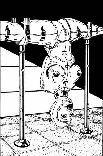 15P perfect breast women ball gagged and bound