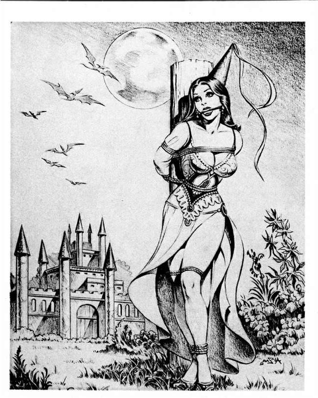 15P masterpieces of erotic female fetish art
