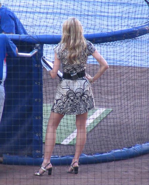 15P Sexy Erin Andrews celeb sports reporter perky ass