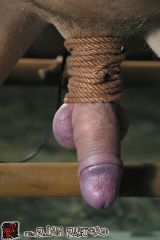 18P Bitchboy Daniel disciplined bound with electrostims by Mistress
