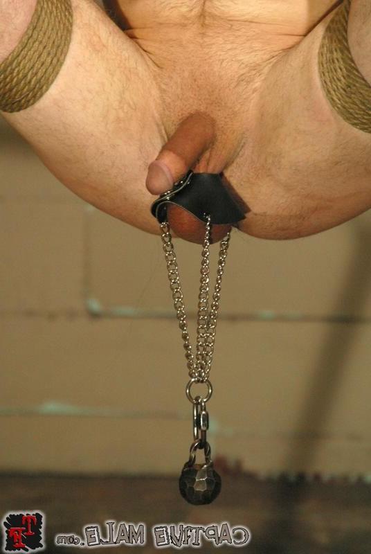 18P Mistress Harmony Rose with bound CBT slave for strapon fucking