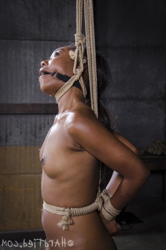 16P Chanell Heart rope bound ebony is electro toyed by male dominant