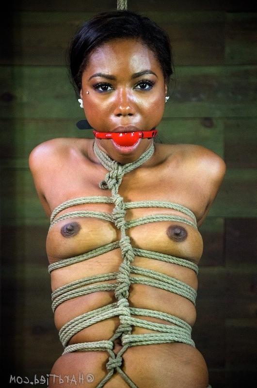 16P Chanell Heart ebony babe rope bound with ballgag