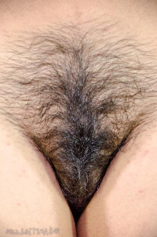16P Vivi Marie is bound in rope with clamps on her hairy pussy