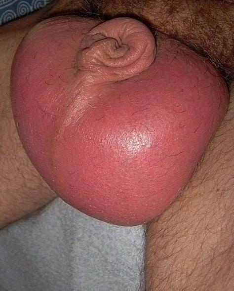 19P Extremely cock and balls pumping