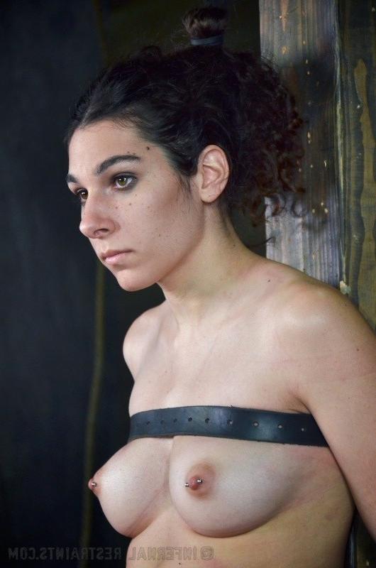 16P Haley Rue curly piercing brunette is bound in leather straps