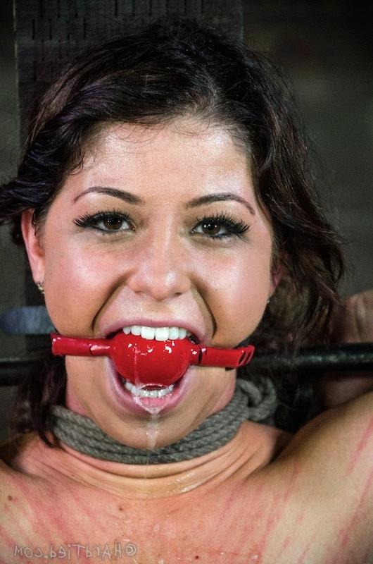 16P Mia Gold rope bound her body spanked red with single tail