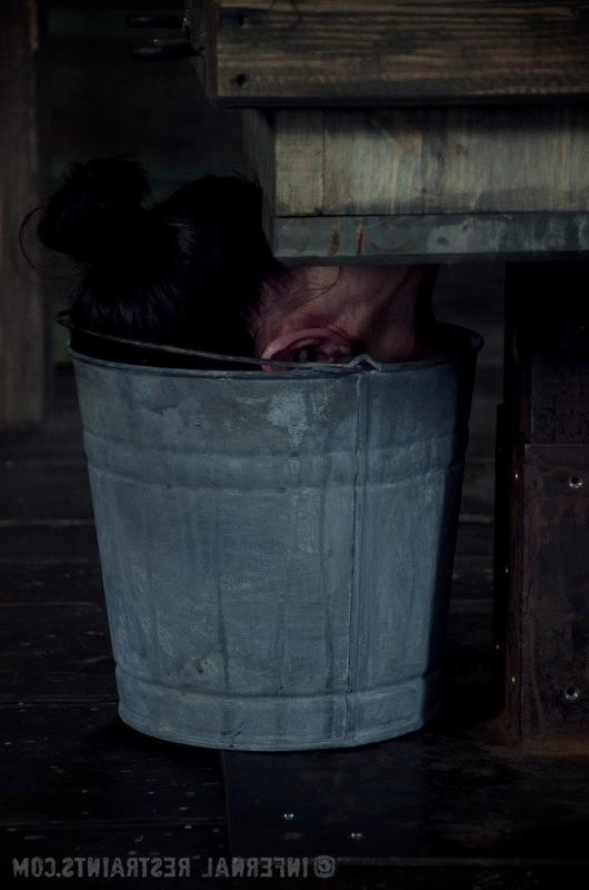 16P Elise Graves bound upside down in a box gets ass toyed