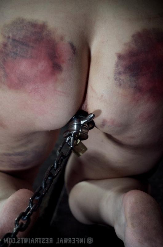 16P Elise Graves bound upside down in a box gets ass toyed