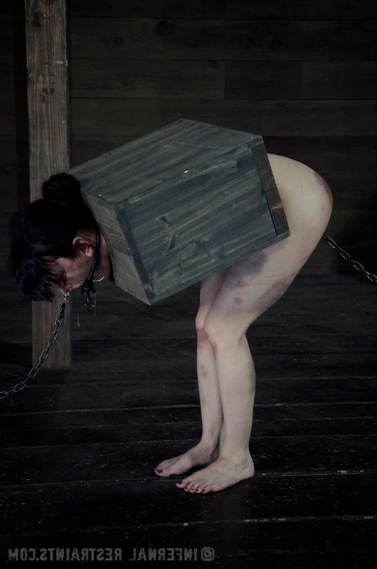 16P Elise Graves bound upside down in a box gets ass toyed
