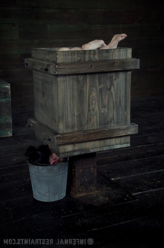 16P Elise Graves bound upside down in a box gets ass toyed