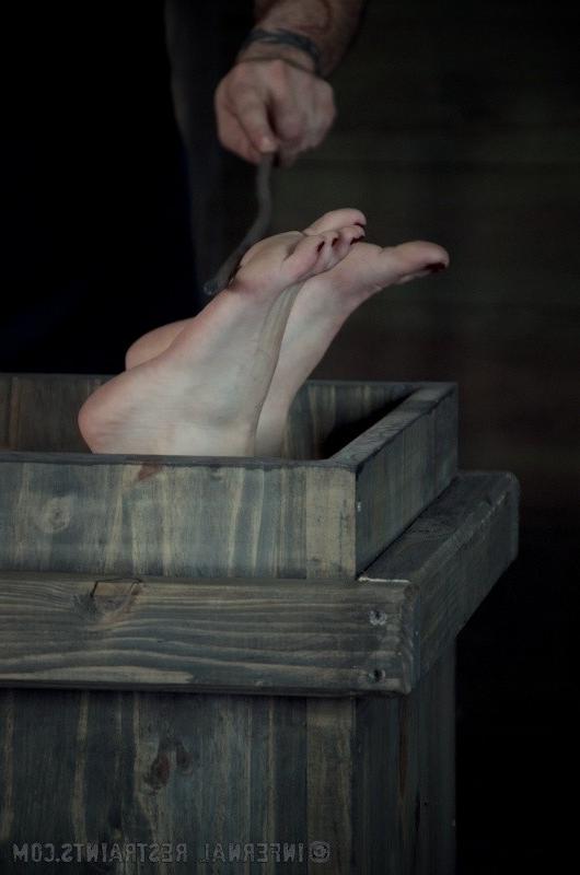16P Elise Graves bound upside down in a box gets ass toyed