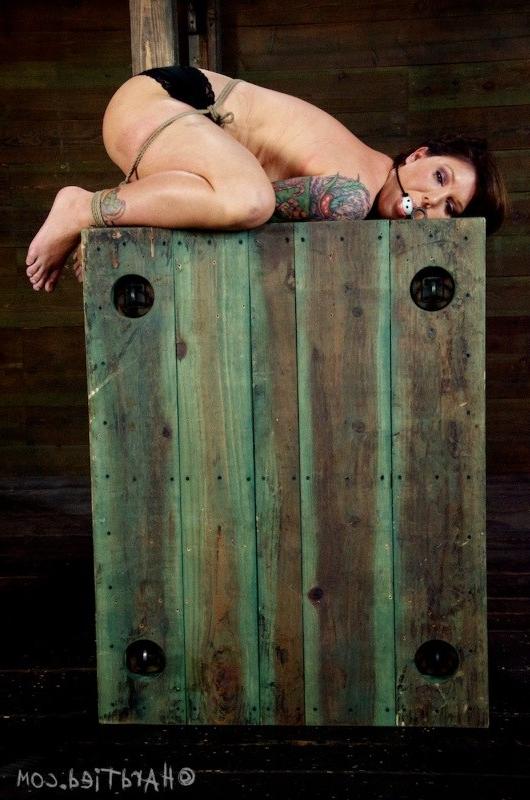 16P Claire Dames busty babe is bound on her knees and mouth gagged