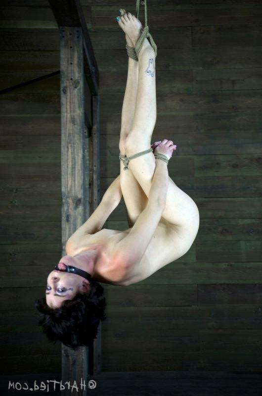 16P Coral Aorta rope bound her pussy exposed and ass with anal hook