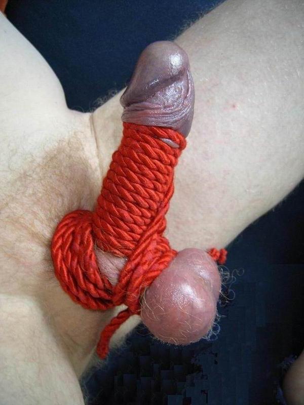 16P extremely tortured cocks and balls