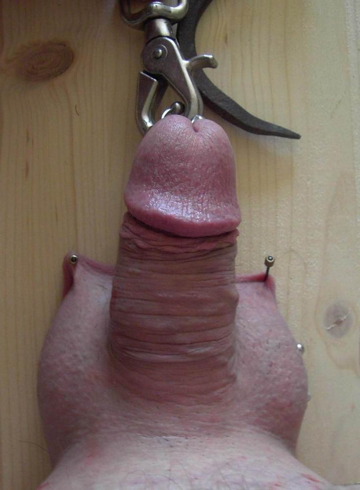 16P extremely tortured cocks and balls