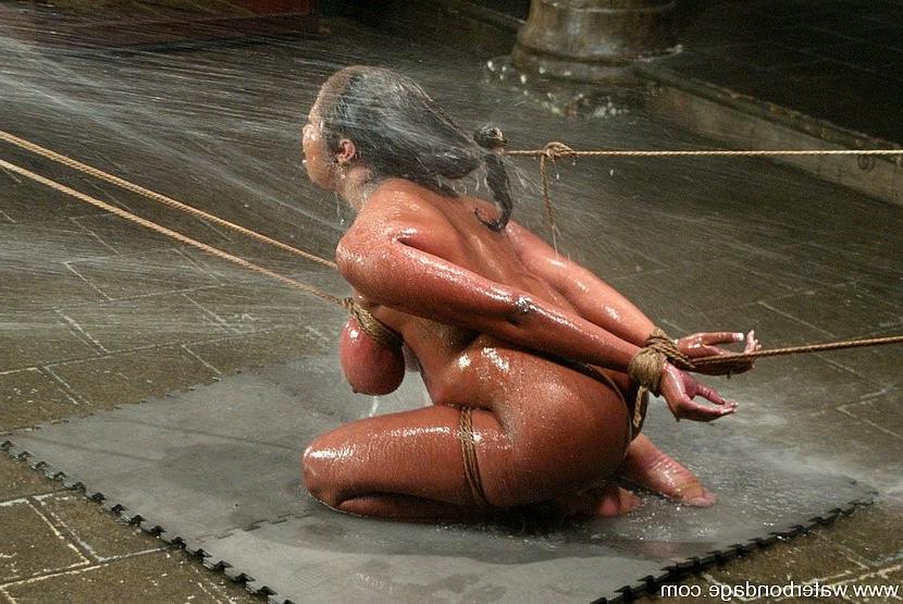 15P Candace Von huge tits ebony babe is bound for water treatment