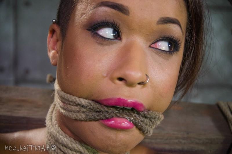 16P Skin Diamond is rope bound to a cross with toys made to orgasm