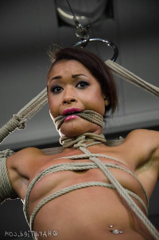 16P Skin Diamond is rope bound to a cross with toys made to orgasm