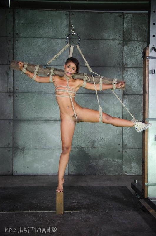 16P Skin Diamond is rope bound to a cross with toys made to orgasm
