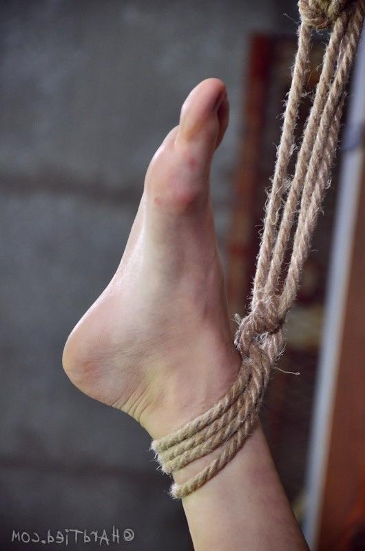 16P Willow Hayes petite long legs brunette babe rope bound in a dungeon