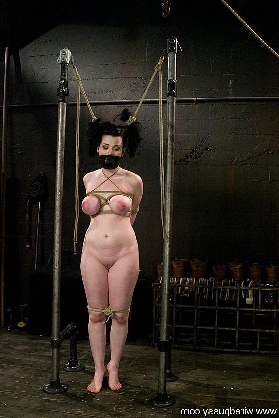 15P LezDom Annette Schwarz strapons bound Sybil Hawthorne