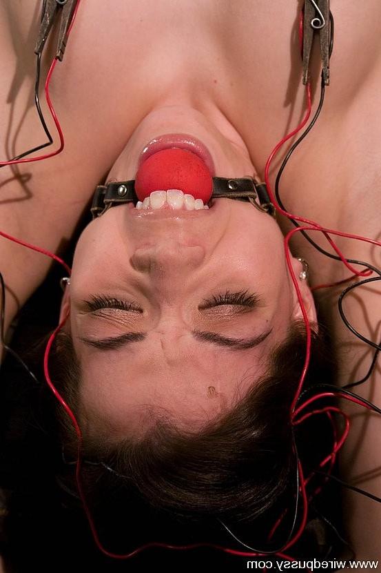 15P Mistress Isis Love forces this first timer and Bound Amie
