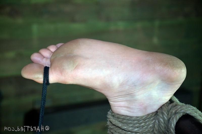 16P Cici Rhodes is bound in rope her tits and pussy clamped