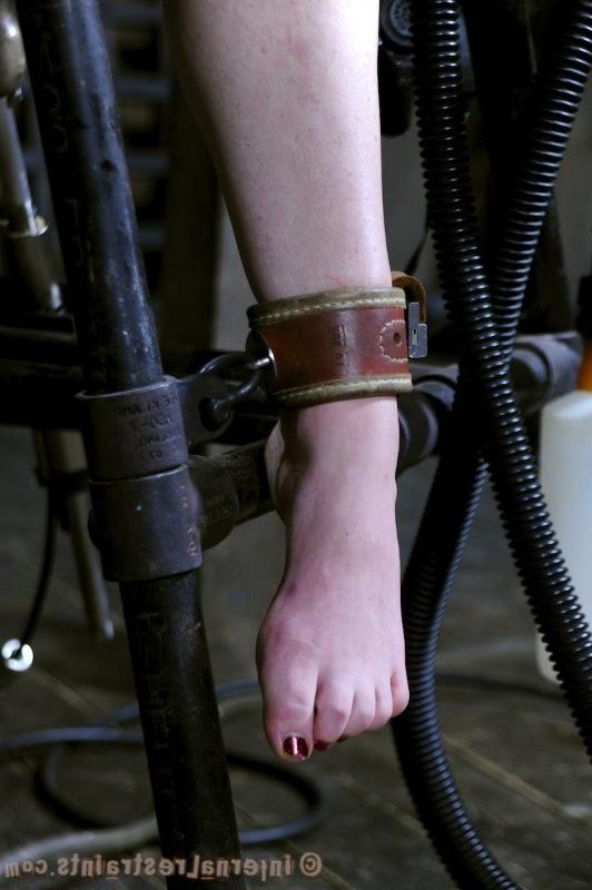 16P Maggie Mead bound in chains and milked by machine