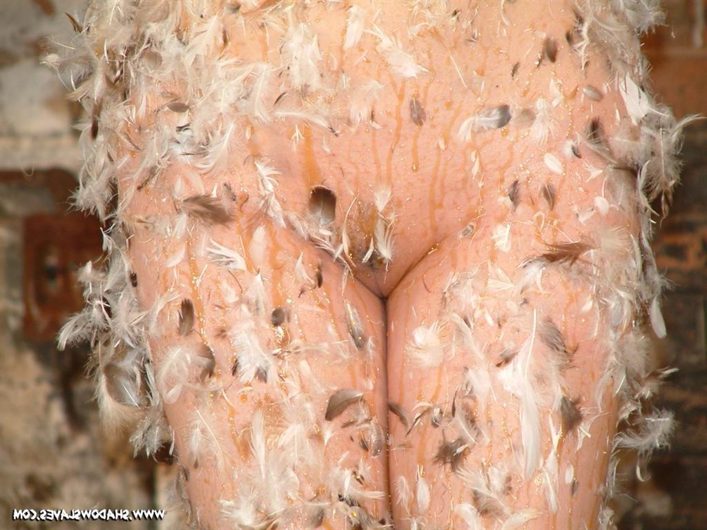 15P Bound blad Asian slavegirl tarred and feathered