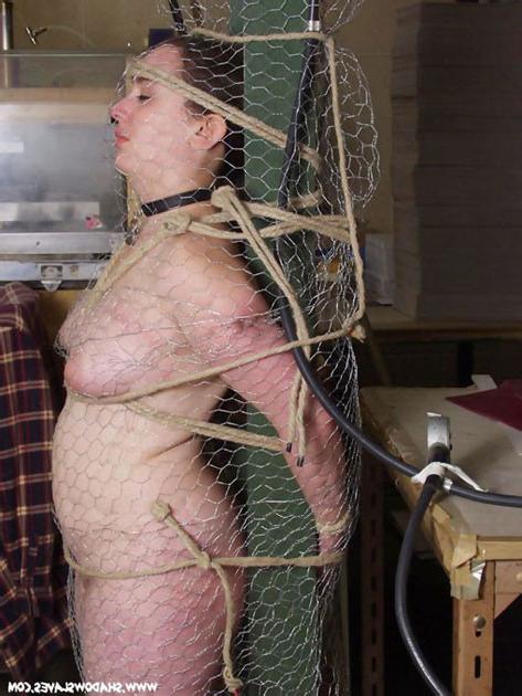 15P Plump submissive bound in rope and wire