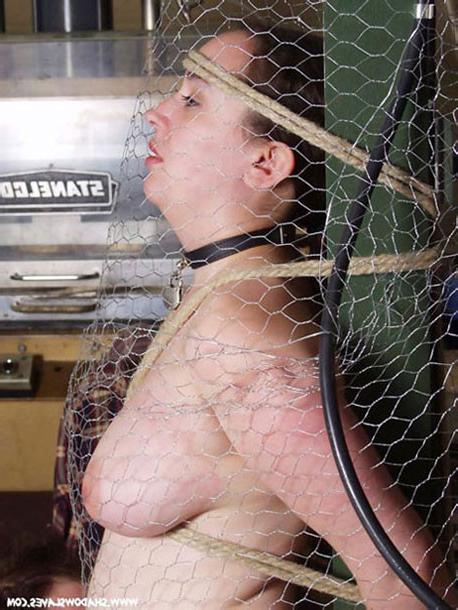 15P Plump submissive bound in rope and wire