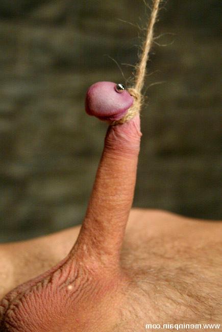 15P Femdom deeply ass drills her bound male submissive