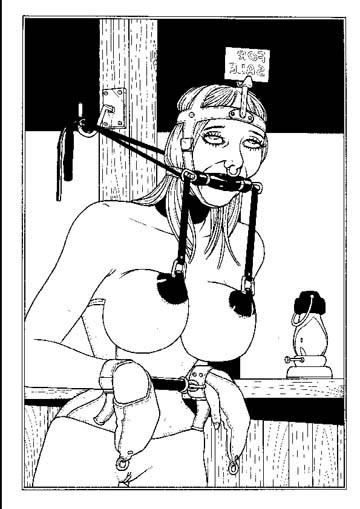 15P extreme hardcore sexual bondage art