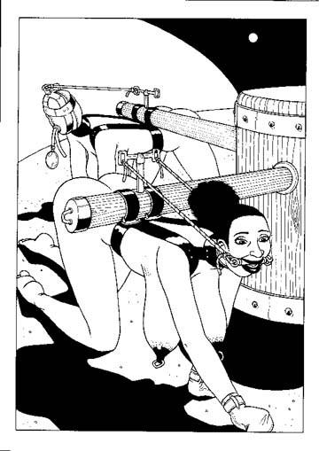 15P extreme hardcore sexual bondage art