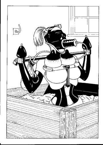 15P extreme hardcore sexual bondage art