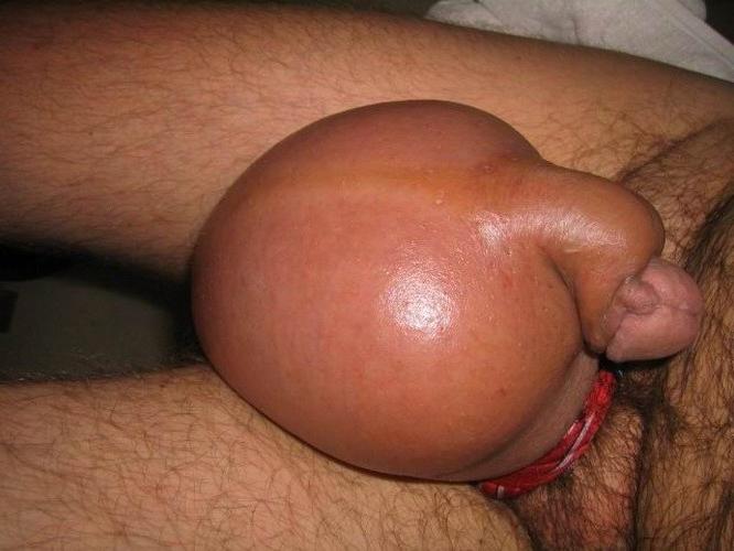 20P extremely pumped cocks and balls