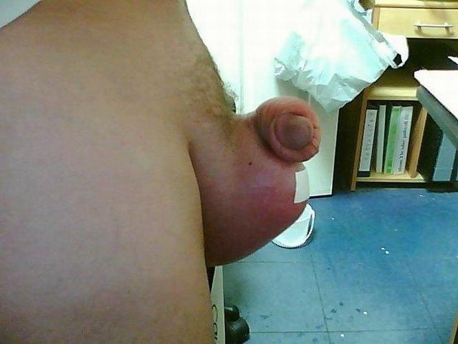 20P extremely pumped cocks and balls