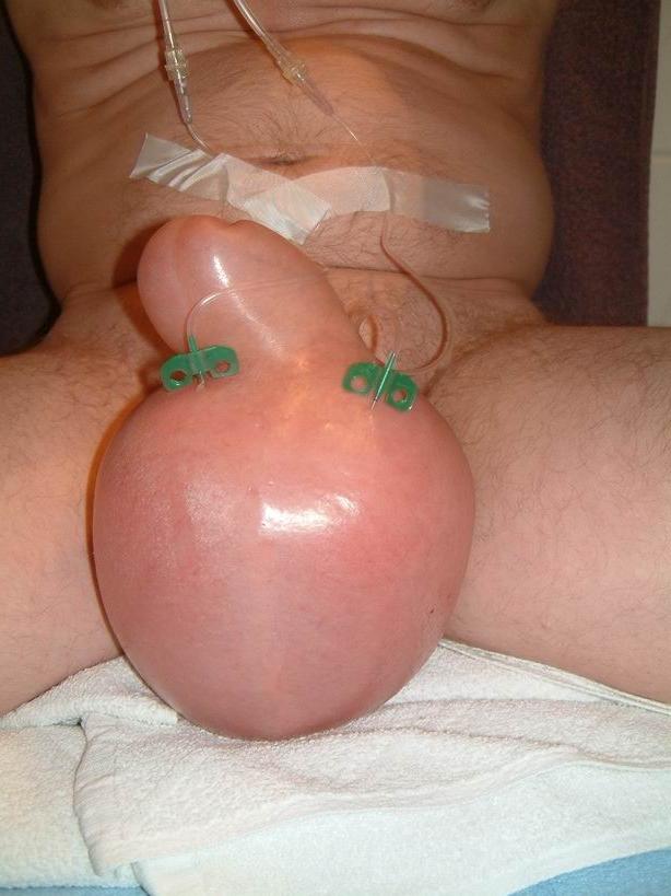 20P extremely pumped cocks and balls