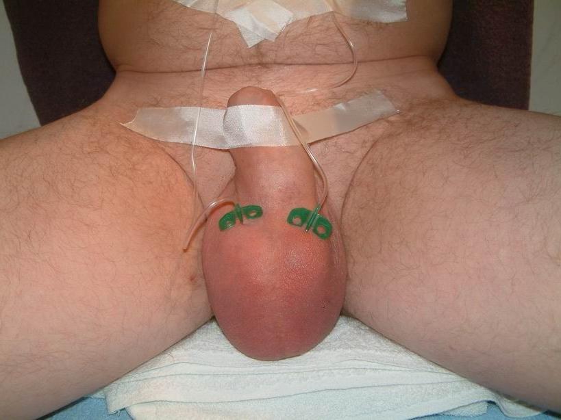 20P extremely pumped cocks and balls