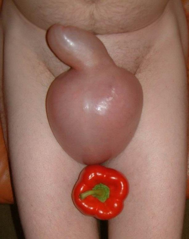 20P extremely pumped cocks and balls