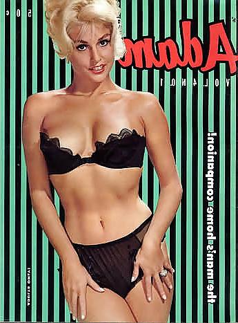 25P Vintage Adam magazine front pages