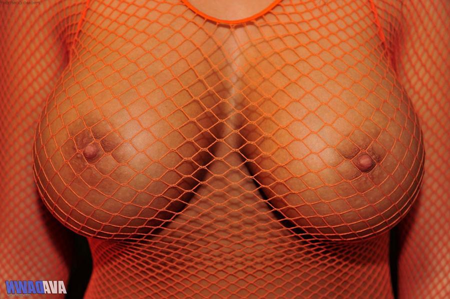 15P Ava Dawn in orange mesh teasing her fantastic natural curves