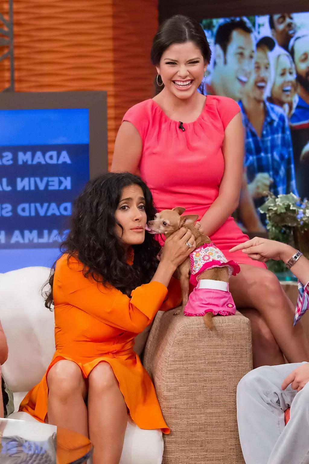 16P Salma Hayek upskirt wearing short orange dress at Despierta America Show in Miam