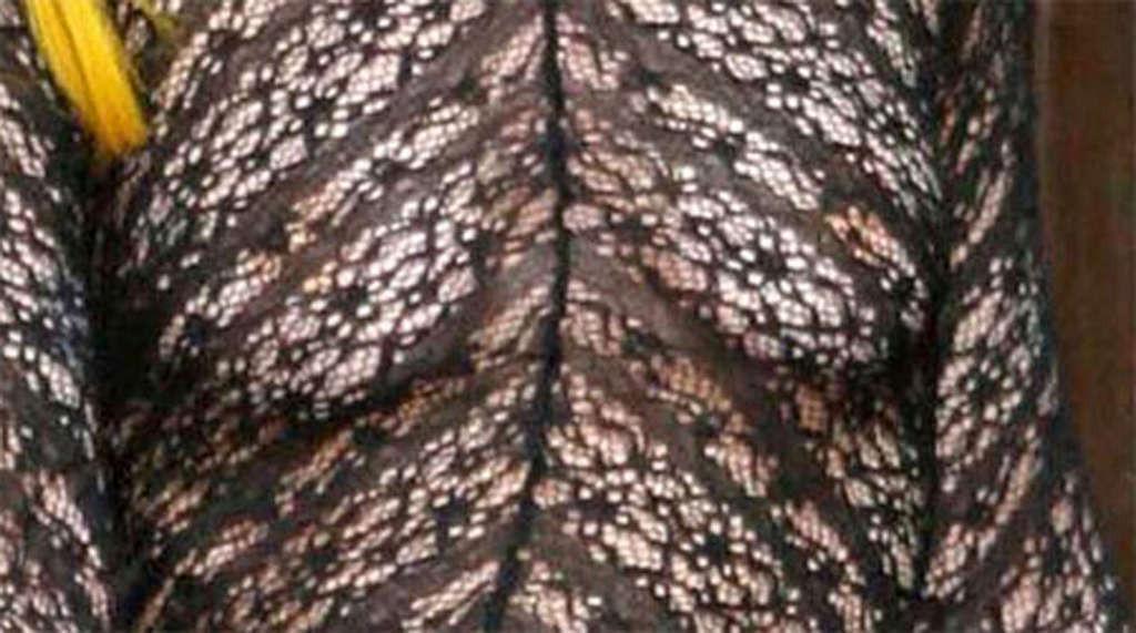 16P Lady Gaga very sexy and hot paparazzi see thru photos