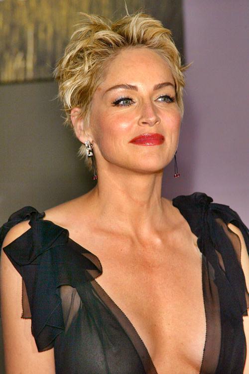 16P Sharon Stone exposing her pussy upskirt while crossing legs